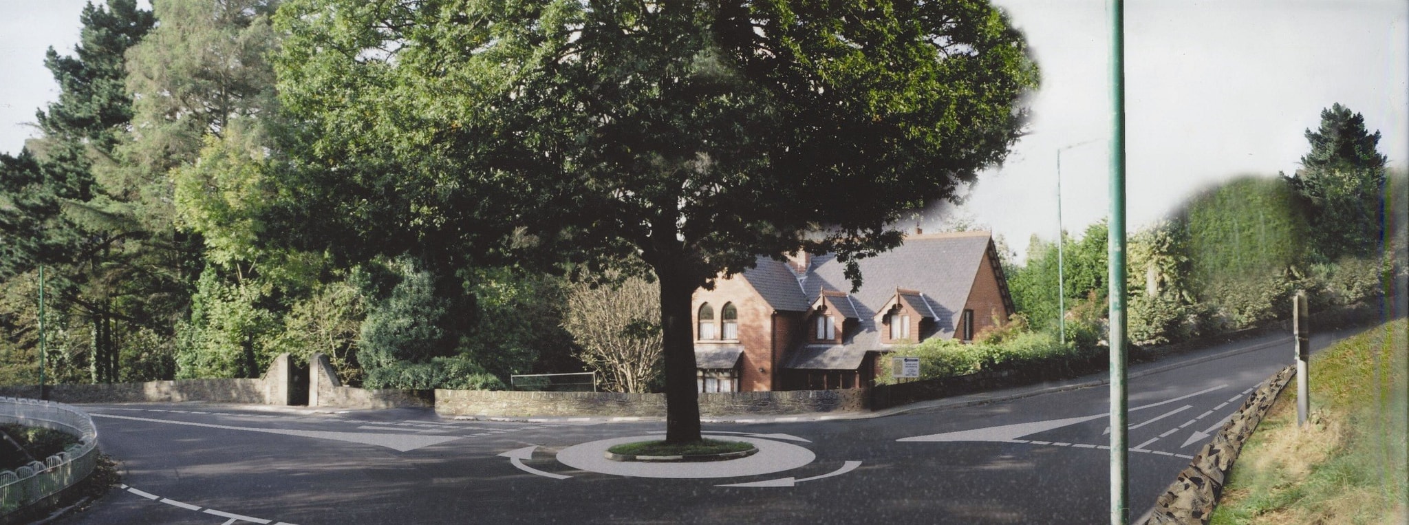 A Special Type of Tree