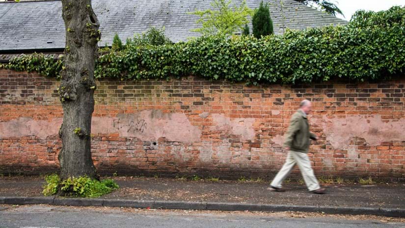 How to Survive on the Street (Street Trees Part II)