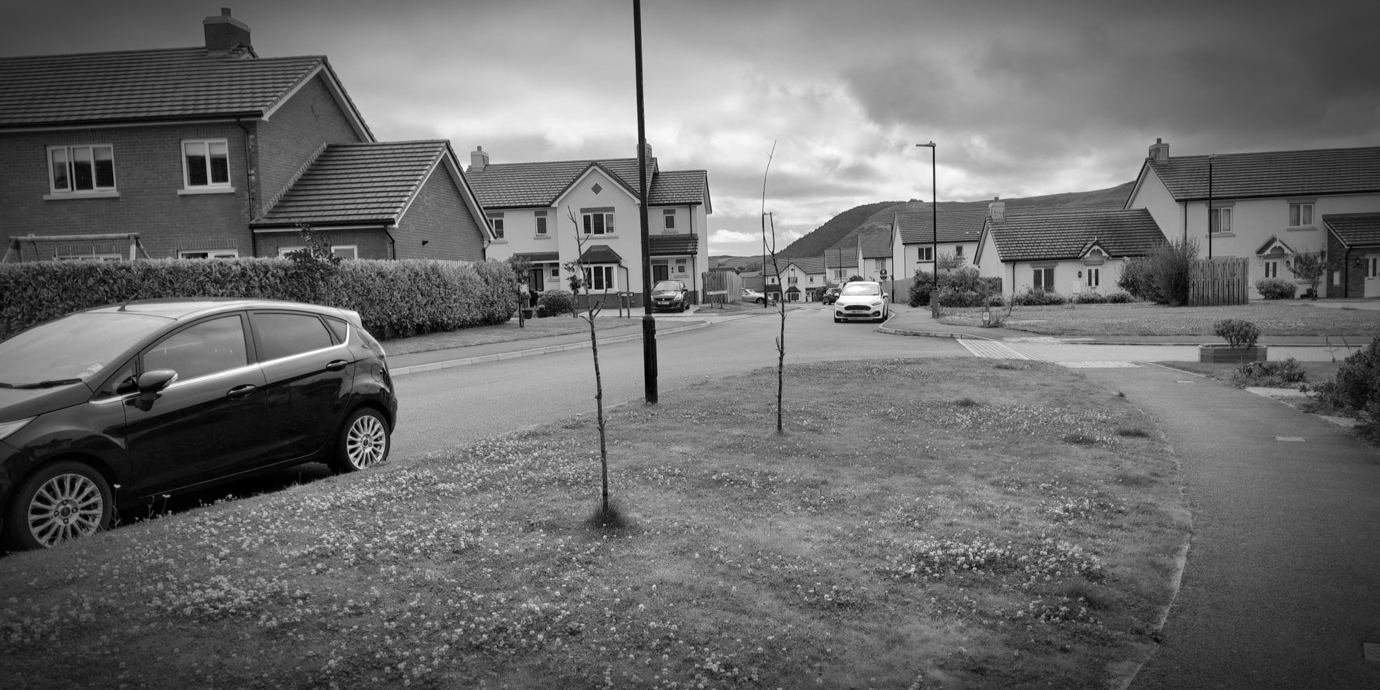 Soft Landscaping – We need to Try Harder