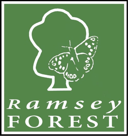 The Ramsey Forest Project