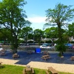 TT Tree Protection