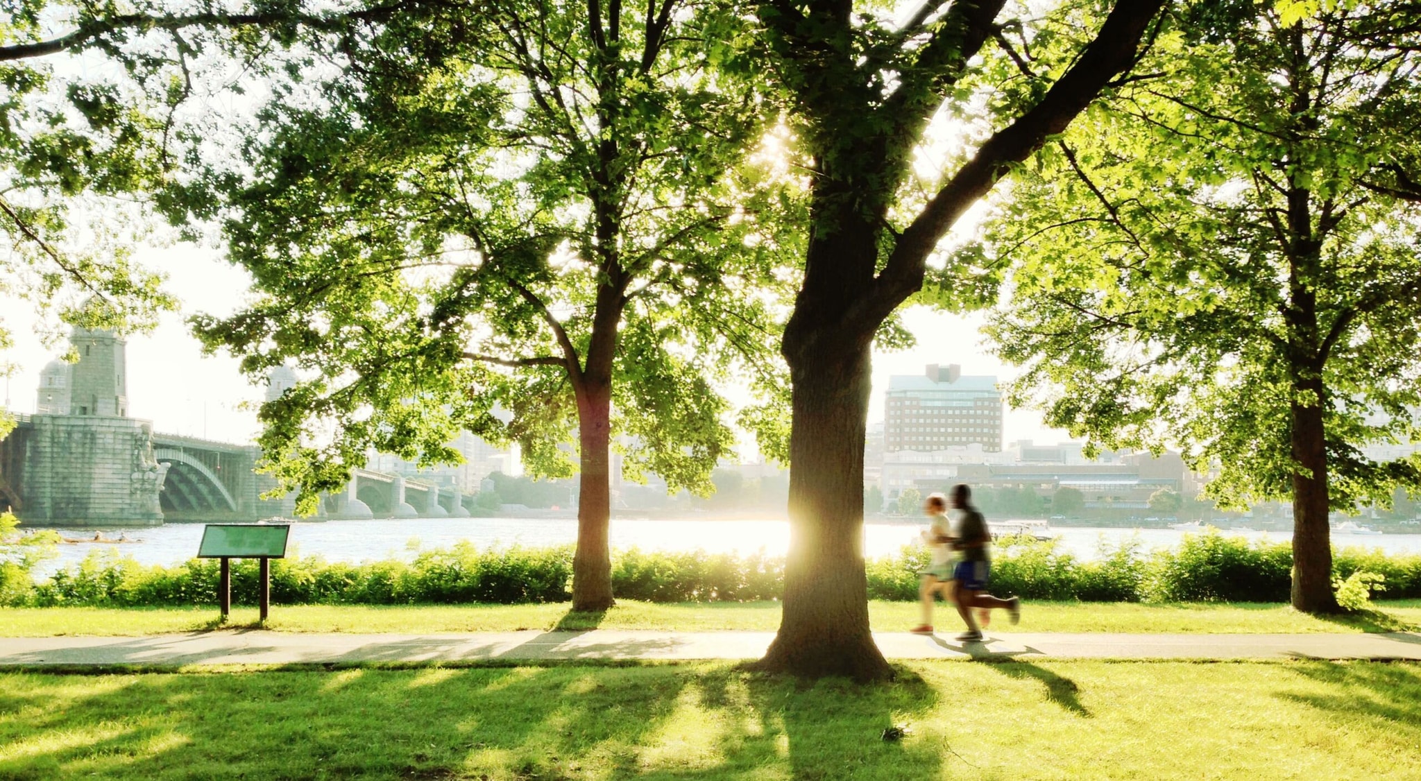 Urban Trees: Barriers to Change