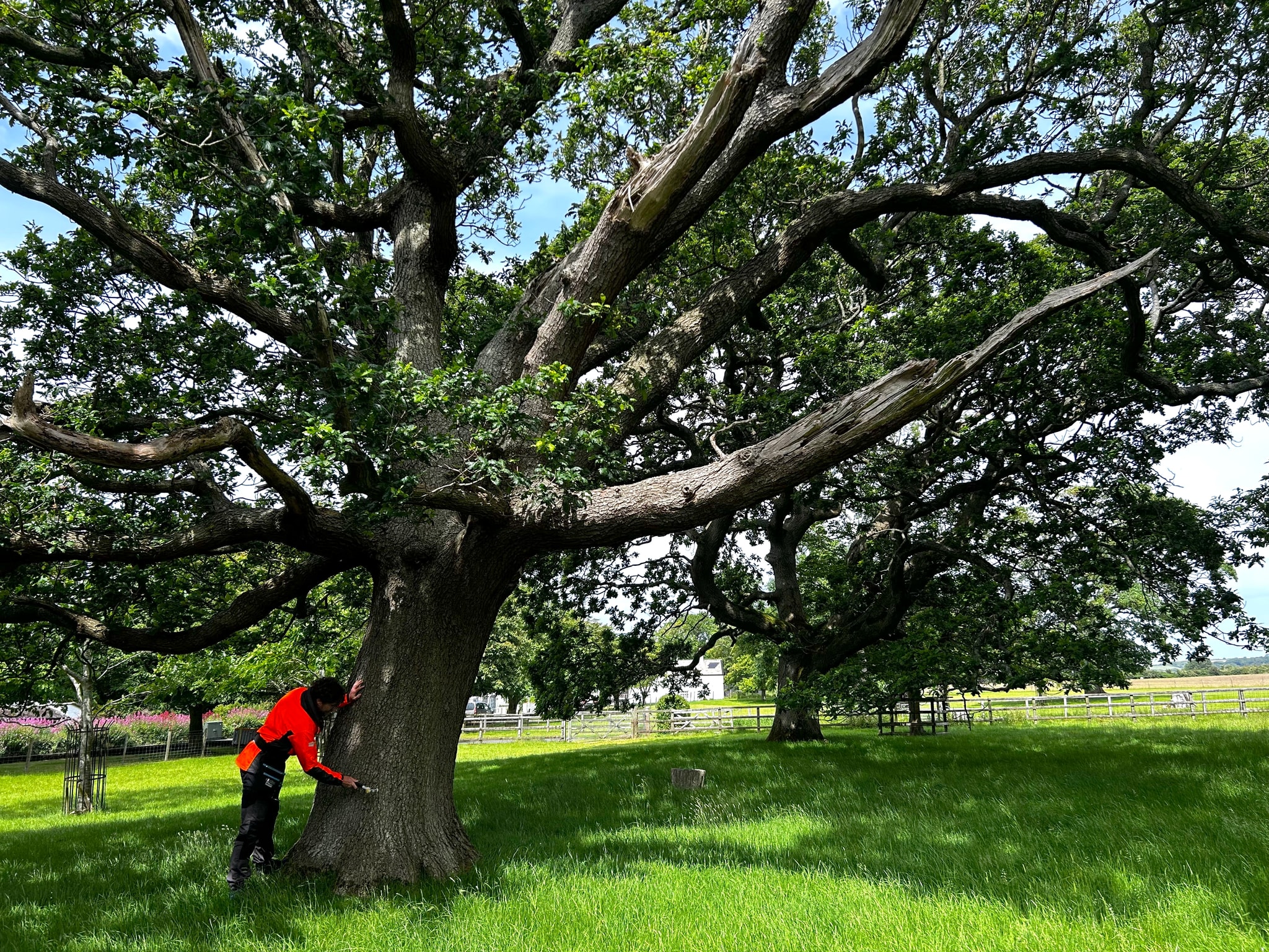 Conservation services