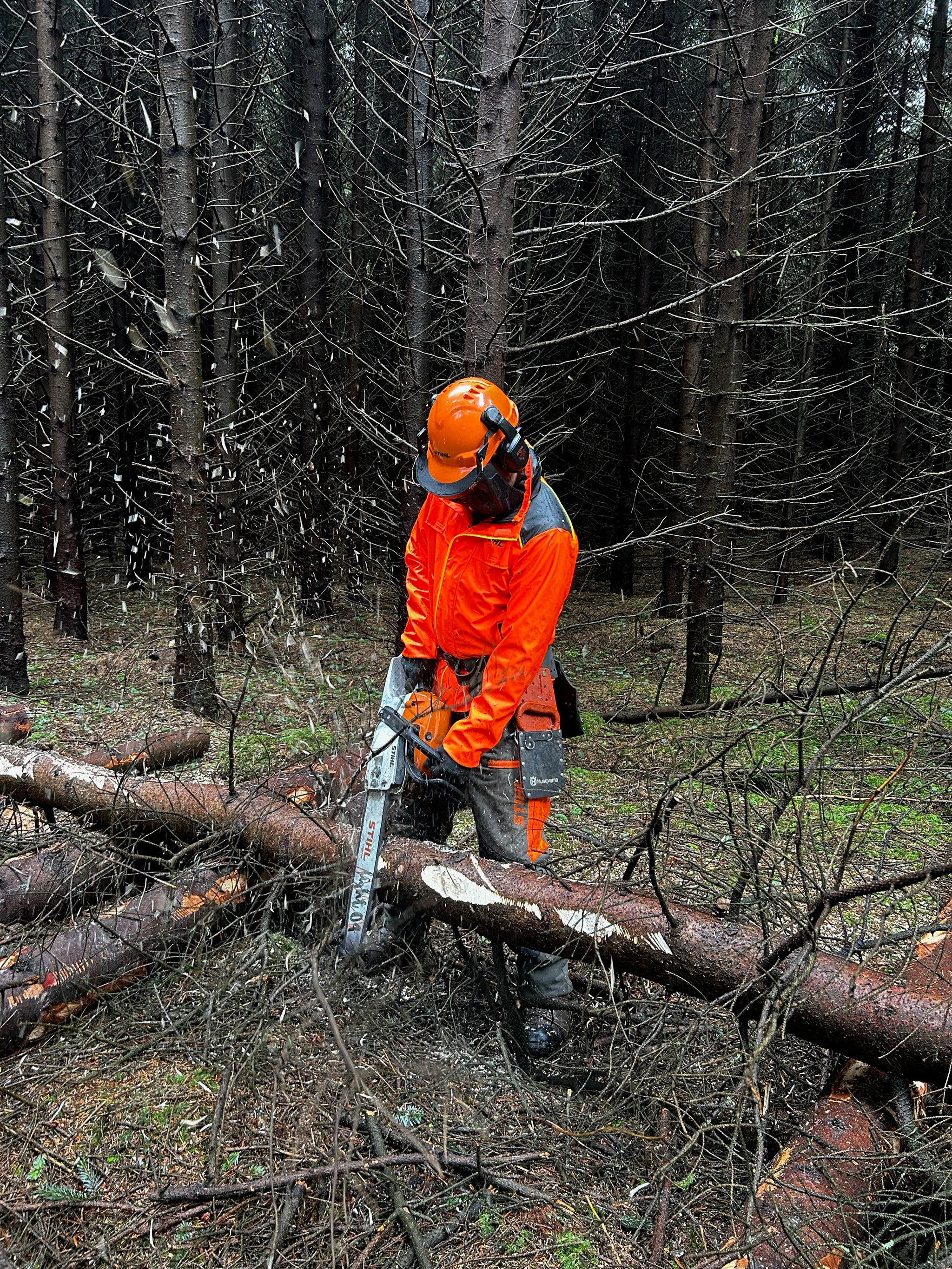 Training course photo 4